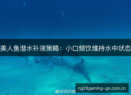 美人鱼潜水补液策略:小口频饮维持水中状态 美人鱼潜水补液策略:小口频饮维持水中状态