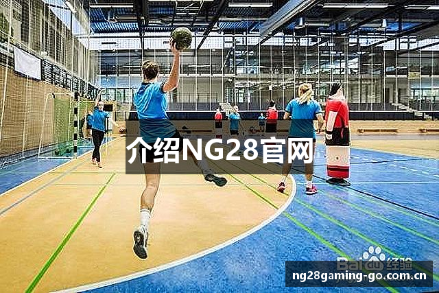 介绍NG28官网